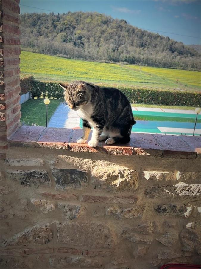 Podere La Selva Rapolano Terme Εξωτερικό φωτογραφία