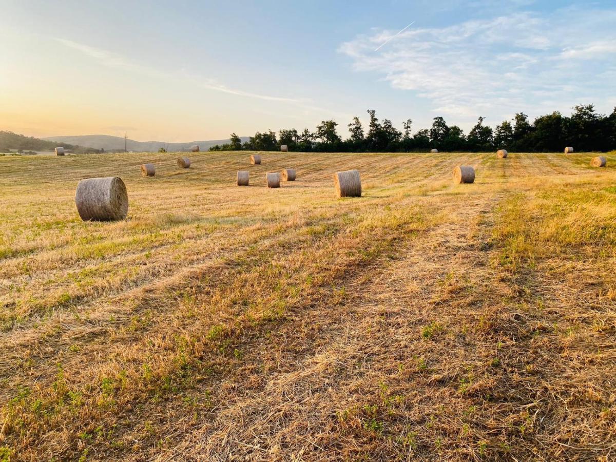 Podere La Selva Rapolano Terme Εξωτερικό φωτογραφία
