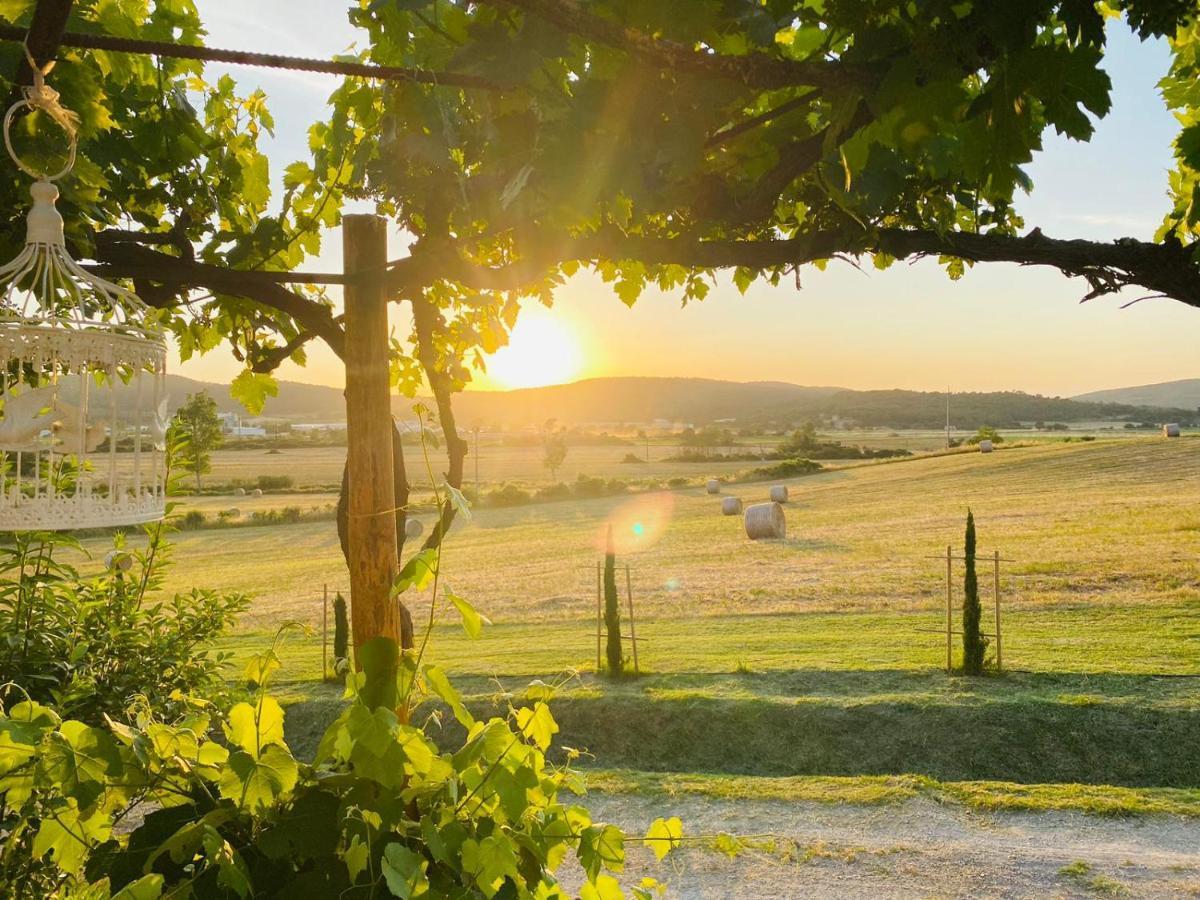 Podere La Selva Rapolano Terme Εξωτερικό φωτογραφία