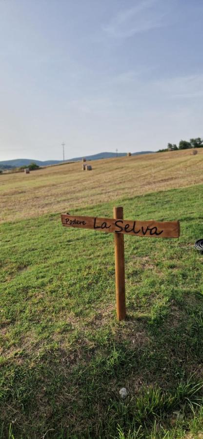 Podere La Selva Rapolano Terme Εξωτερικό φωτογραφία