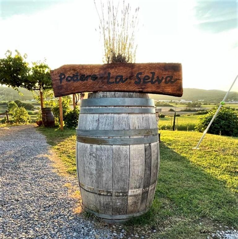Podere La Selva Rapolano Terme Εξωτερικό φωτογραφία