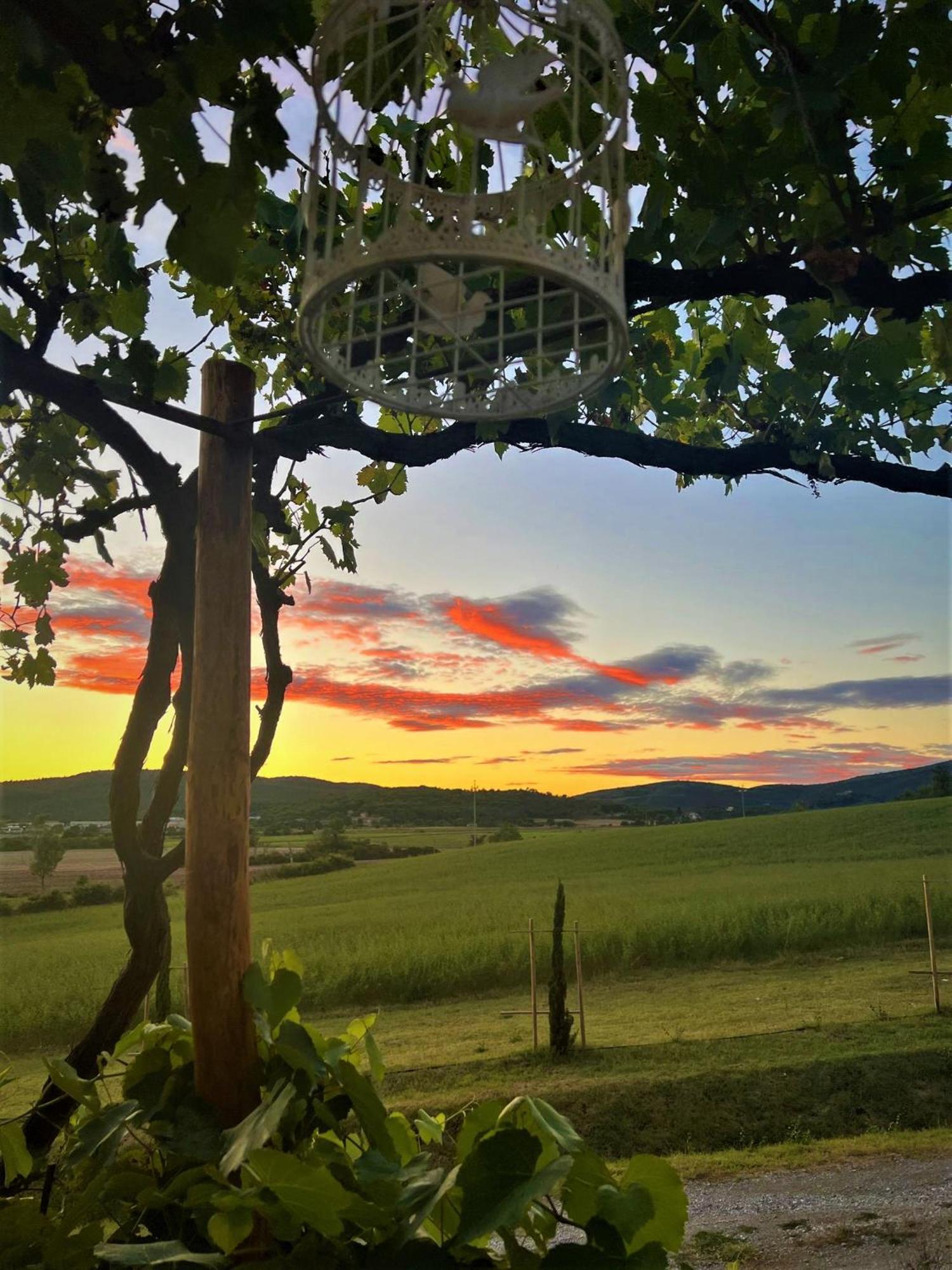 Podere La Selva Rapolano Terme Εξωτερικό φωτογραφία